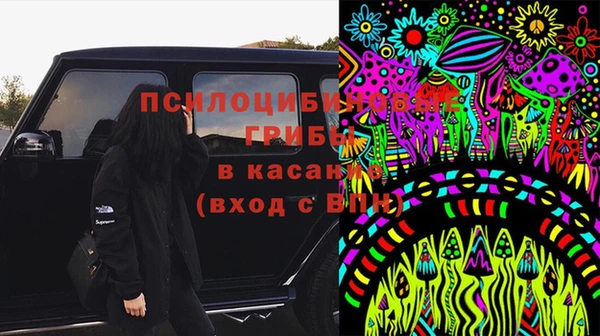 твердый Армянск