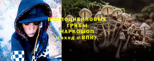 твердый Армянск