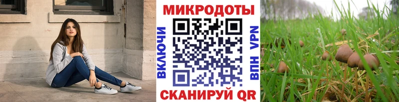Купить  Любань  Галлюциногенные грибы Cubensis 
